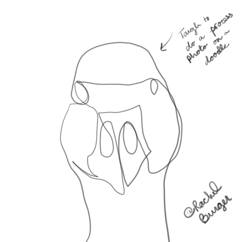 Meaning Contour Line Drawing : Orcheva art contest doodle my submission a contour